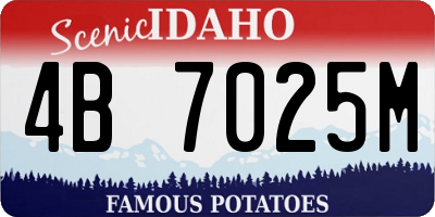 ID license plate 4B7025M