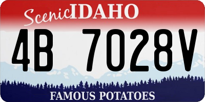 ID license plate 4B7028V