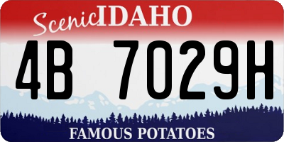 ID license plate 4B7029H