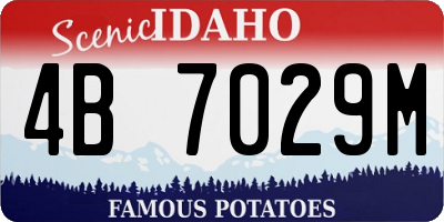 ID license plate 4B7029M