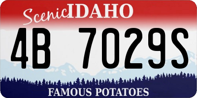 ID license plate 4B7029S
