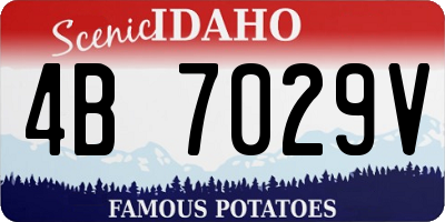 ID license plate 4B7029V