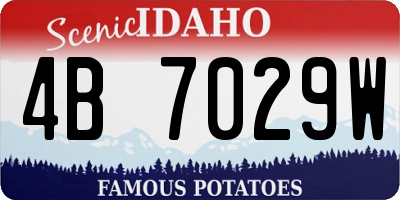 ID license plate 4B7029W