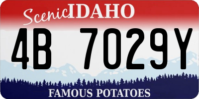 ID license plate 4B7029Y