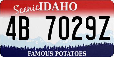 ID license plate 4B7029Z