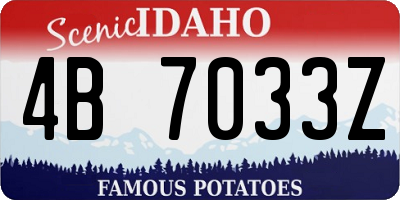 ID license plate 4B7033Z