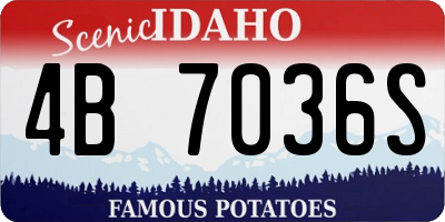 ID license plate 4B7036S