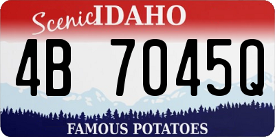 ID license plate 4B7045Q