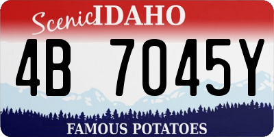 ID license plate 4B7045Y