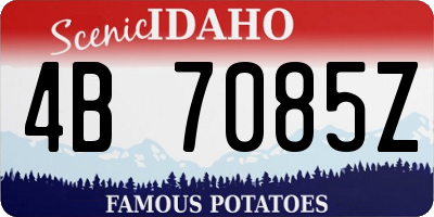 ID license plate 4B7085Z