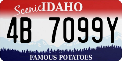 ID license plate 4B7099Y