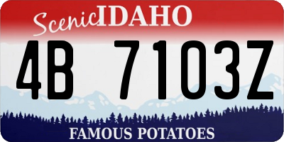 ID license plate 4B7103Z