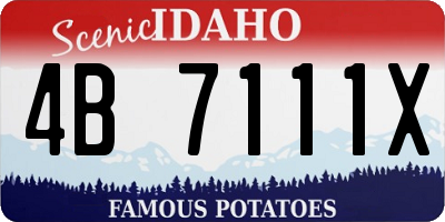 ID license plate 4B7111X