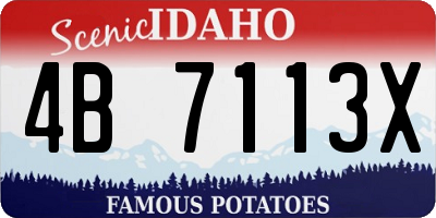 ID license plate 4B7113X