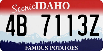 ID license plate 4B7113Z