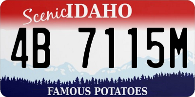ID license plate 4B7115M