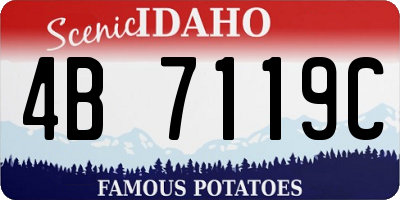 ID license plate 4B7119C