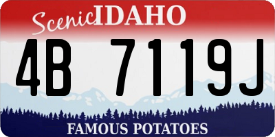 ID license plate 4B7119J