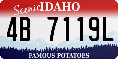ID license plate 4B7119L