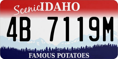 ID license plate 4B7119M