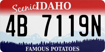 ID license plate 4B7119N