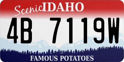 ID license plate 4B7119W