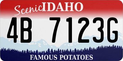 ID license plate 4B7123G