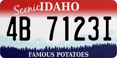 ID license plate 4B7123I