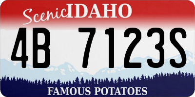 ID license plate 4B7123S