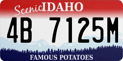 ID license plate 4B7125M