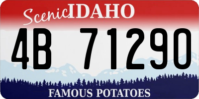 ID license plate 4B7129O