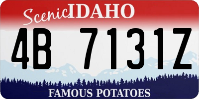 ID license plate 4B7131Z