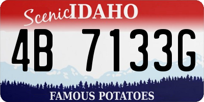 ID license plate 4B7133G