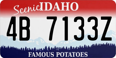 ID license plate 4B7133Z
