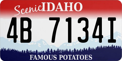 ID license plate 4B7134I