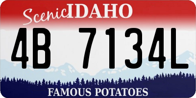 ID license plate 4B7134L