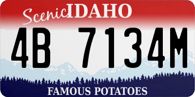 ID license plate 4B7134M