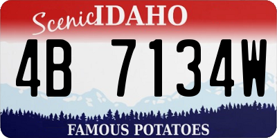 ID license plate 4B7134W