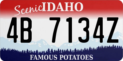 ID license plate 4B7134Z
