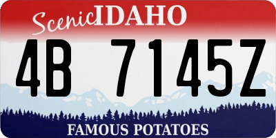 ID license plate 4B7145Z