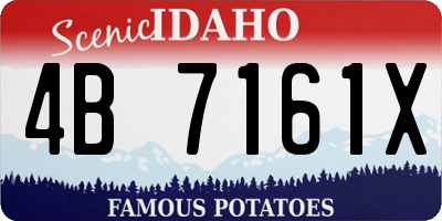 ID license plate 4B7161X