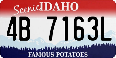 ID license plate 4B7163L