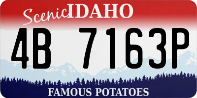 ID license plate 4B7163P