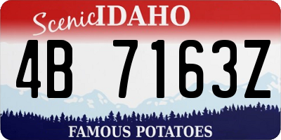 ID license plate 4B7163Z