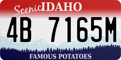 ID license plate 4B7165M