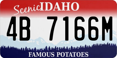 ID license plate 4B7166M