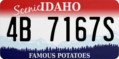 ID license plate 4B7167S