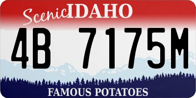 ID license plate 4B7175M