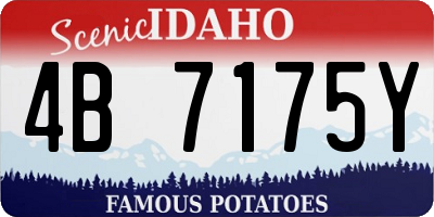 ID license plate 4B7175Y