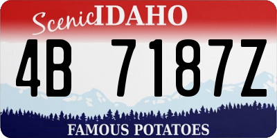 ID license plate 4B7187Z